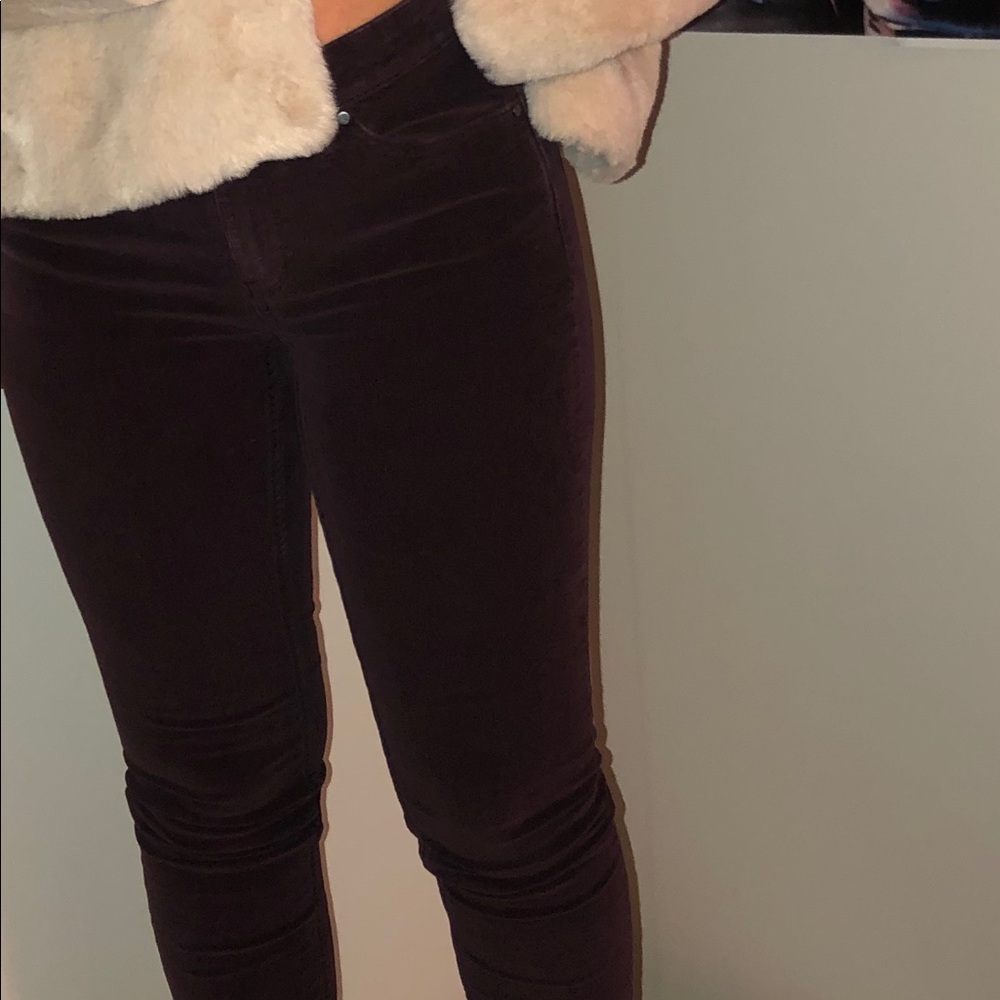 Calvin Klein Maroon Corduroy Pants